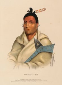 WAA-TOP-E-NOT., Pohjois-Amerikan intiaaniheimojen historiasta. tekijältä Charles Bird King