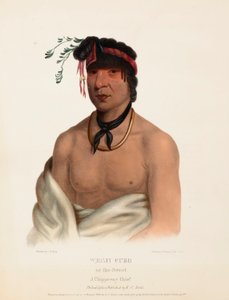 WESH-CUBB. A CHIPPEWAY CHIEF., From History of the Indian Tribes of North America. tekijältä Charles Bird King