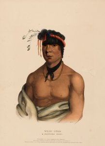 WESH-CUBB. A CHIPPEWAY CHIEF, kirjasta History of the Indian Tribes of North America. tekijältä Charles Bird King