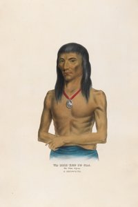  tekijältä Charles Bird King