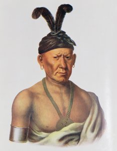 Wakechai eli "Kyyhöttävä kotka", saukkipäällikkö, kuvitus teoksesta "The Indian Tribes of North America, Vol.2", kirjoittaneet Thomas L. McKenney ja James Hall, julkaissut John Grant.