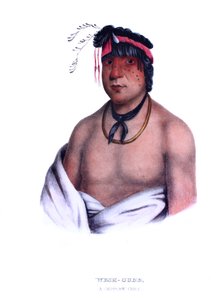 Weshcubb ("Sweet"), Chippewayn päällikkö tekijältä Charles Bird King