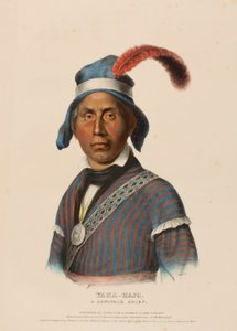 YAHA-HAJO. A SEMINOLE CHIEF., from History of the Indian Tribes of North America. tekijältä Charles Bird King