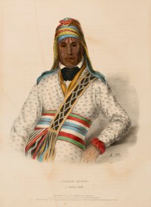 YOHOLO-MICCO. A CREEK CHIEF., kirjasta History of the Indian Tribes of North America. tekijältä Charles Bird King