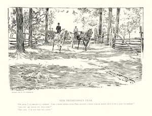 Hänen valtava pelkonsa (litografia) tekijältä Charles Dana Gibson