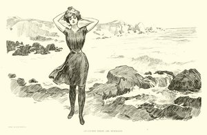 Illustration for The Social Ladder tekijältä Charles Dana Gibson