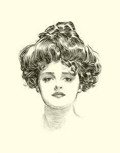 Illustration for The Social Ladder tekijältä Charles Dana Gibson