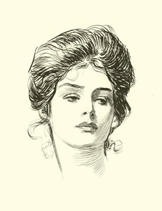 Kuvitus Social Ladderille tekijältä Charles Dana Gibson