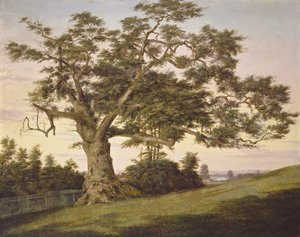 Charter Oak tekijältä Charles de Wolf Brownell