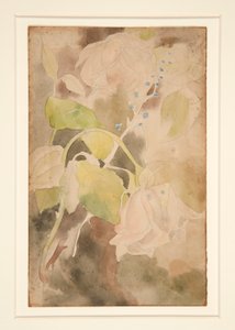 Persikkainen ruusu tekijältä Charles Demuth
