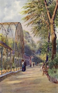 Lontoon eläintarha: Western Aviary (väri litho)