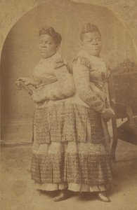 Millie ja Christine McCoyn albumiiniprintti, 1880-1890.