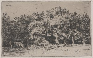 Fontainebleaun metsän kulma (etsaus) tekijältä Charles Emile Jacque