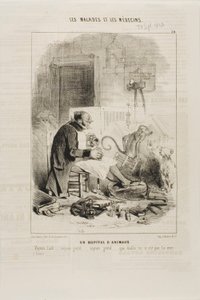 Eläinsairaala (levy 20) tekijältä Charles Emile Jacque