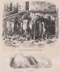 Percheron-hevoset tallissa, lantakuoppa, Magasin Pittoresquelta, n. 1852, n. 1852. tekijältä Charles Emile Jacque