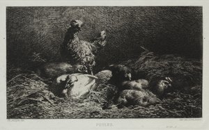 Kanat tekijältä Charles Emile Jacque