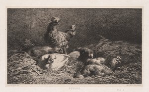 Chickens Poutes, 1867. tekijältä Charles Emile Jacque