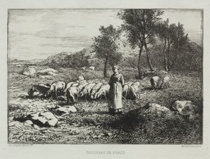 Sikalauma tekijältä Charles Emile Jacque
