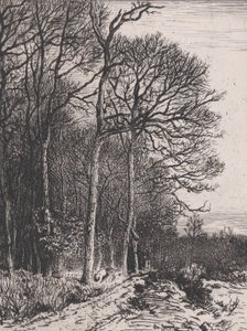 Edge of the Wood, 1846. tekijältä Charles Emile Jacque