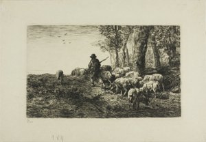 Mies sikalauman kanssa tekijältä Charles Emile Jacque