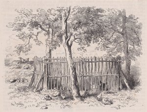 School Park, Magasin Pittoresquesta, n. 1852.