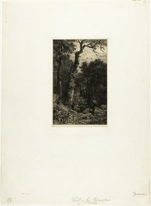 Woodcockin ammunta tekijältä Charles Emile Jacque
