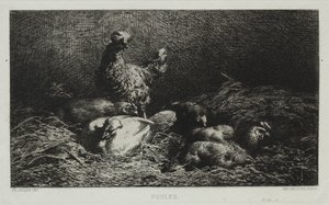 Kanat. tekijältä Charles Emile Jacque