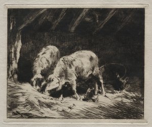 Kaksi sikaa tekijältä Charles Emile Jacque