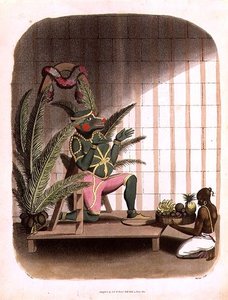 Hanuman, levy 31 julkaisusta "Oriental Drawings", kaiverrus Thomas Medland (1755-1823), pub. 1803 (akvatinta)