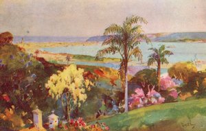 Natalin satama, Durban (värilitro)