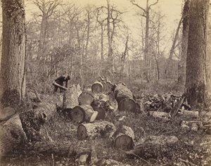 Forêt de Fontainebleau tekijältä Charles Famin