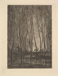Deer in the Woods, 1850. tekijältä Charles Francois Daubigny