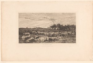 Maisema lammaslaumalla Parc à moutons, le matin (otsikko esineessä) tekijältä Charles Francois Daubigny