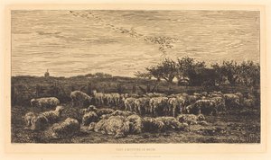 Suuri lammastarha tekijältä Charles Francois Daubigny