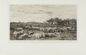 Niitty lampaita tekijältä Charles Francois Daubigny