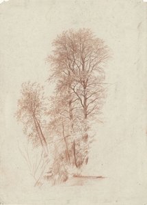 Tutkimus kahdesta hoikasta ja muutamasta pienemmästä lehtipuusta tekijältä Charles Francois Daubigny