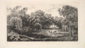Deer Pond, 1837-78. tekijältä Charles Francois Daubigny