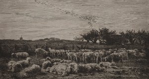 Suuri lammastarha tekijältä Charles Francois Daubigny
