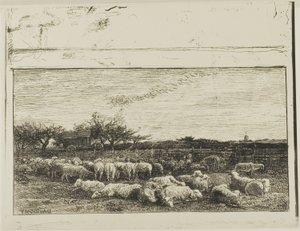 Suuri lammastarha tekijältä Charles Francois Daubigny