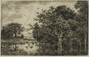 Suo haikaroiden kanssa tekijältä Charles Francois Daubigny