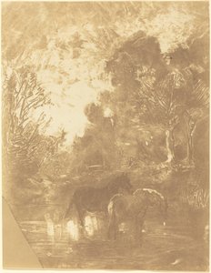 Kaksi hevosta juomapaikalla tekijältä Charles Francois Daubigny