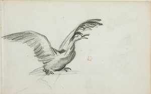 Wild Duet (etusivu); kaksi seisovaa alastonta naishahmoa syvennyksissä (kääntöpuoli). tekijältä Charles Francois Daubigny