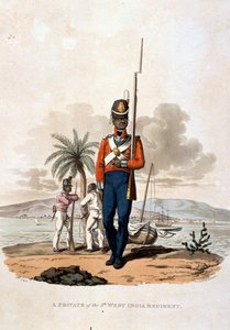 5. Länsi-Intian rykmentin sotamies, teoksesta "Costumes of the Army of the British Empire, according to the last regulations 1812" (Brittiläisen imperiumin armeijan puvut, vuoden 1812 viimeisten sääntöjen mukaan), kaiverrettu J.C. Stadlerin toimesta, julka tekijältä Charles Hamilton Smith