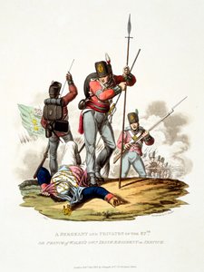 Sargeantin ja 87. tai Walesin prinssin oman irlantilaisen rykmentin sotilaiden univormu palveluksessa, vuonna 1813 julkaistusta julkaisusta "British Imperiumin puku, viimeisten säännösten mukaan" (käsin värinen). tekijältä Charles Hamilton Smith