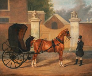 Miesten vaunut: Cabriolet
