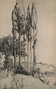 Sypressipuut Sienan lähellä, 1903