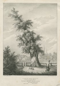 Lichfield - "Dr. Johnson