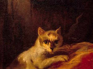 Mademoiselle de Charolais Kissaa edustava yksityiskohta. Charles Joseph Natoiren maalaus (Charles-Joseph Natoire tekijältä Charles Joseph Natoire