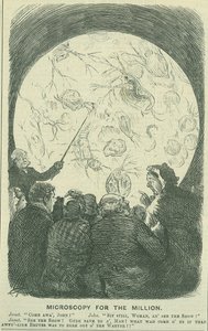 Mikroskooppi miljoonille: 1878 (kaiverrus)