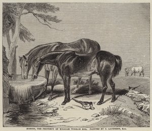 Hevoset, William Wigramin omaisuus, Esquire
